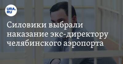 Силовики выбрали наказание экс-директору челябинского аэропорта