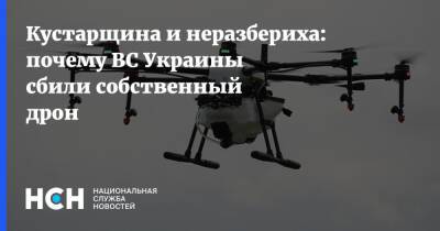 Кустарщина и неразбериха: почему ВС Украины сбили собственный дрон