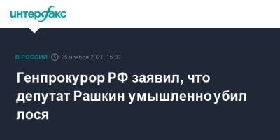 Генпрокурор РФ заявил, что депутат Рашкин умышленно убил лося