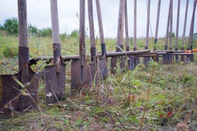 Житель Заокского района заставил бывшую возлюбленную голой копать себе могилу