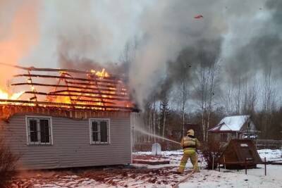 Огонь уничтожил садовый дом и хозпостройки в маловишерской деревне