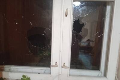 Под Рязанью неизвестные забросали камнями дом депутата от КПРФ