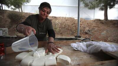 Продаётся халуми: сыр скопился на складах Кипра
