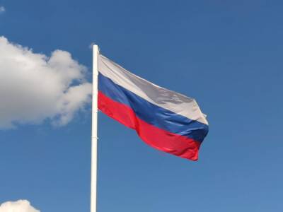 Госдума РФ дала согласие на возбуждение уголовного дела против депутата Рашкина