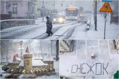 Беларусь замело: посмотрите, как выглядит первый снежный день