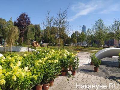 Сад на Площади 1905 года вернется в Екатеринбург следующим летом