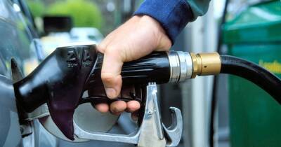 АЗС снизили цены на бензин и дизель, но повысили на газ. Сколько стоит топливо в Украине