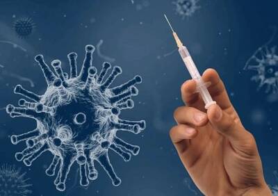 После вакцинации «Спутником М» у подростков формируется клеточный иммунитет