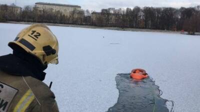 В парке "Сокольники" сотрудники МЧС спасли вмерзшую в лед утку
