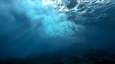 На дне океанов нашли «оазисы» для развития жизни