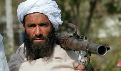 "Милость" к проигравшим: талибы вновь рассчитывают на помощь США - newizv.ru - США - Афганистан - Герат