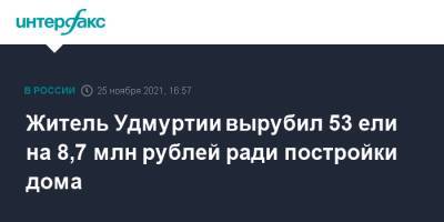 Житель Удмуртии вырубил 53 ели на 8,7 млн рублей ради постройки дома