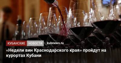 «Недели вин Краснодарского края» пройдут на курортах Кубани