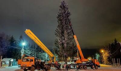Сергей Греков заявил о рекорде – в Уфе установили самую высокую живую елку в России