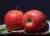 Диетолог Гинзбург назвал людей, которым нельзя есть яблоки с кожурой