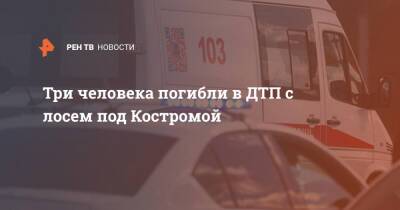 Три человека погибли в ДТП с лосем под Костромой