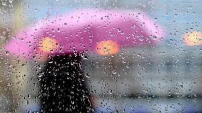 Луганщину зальет дождями: будут идти до конца месяца каждый день