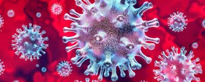 ВОЗ собирает 26 ноября чрезвычайное совещание из-за нового штамма коронавируса