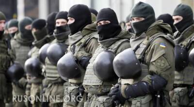 После скандального приказа МВФ на Украине готовятся вводить военное положение