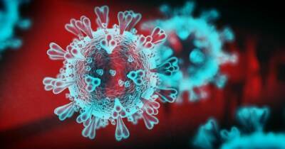 ВОЗ созывает экстренное совещание из-за нового штамма коронавируса