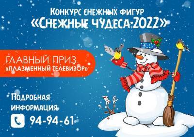 Конкурс снежных фигур пройдёт в Ульяновске. Главный приз - телевизор