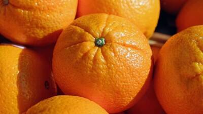 Al Arabiya: растительная пища с витамином С поможет организму после вакцинации от COVID-19