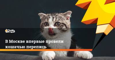 В Москве впервые провели кошачью перепись