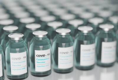 Гинцбург сообщил о высокой эффективности совместного применения вакцин от COVID-19 и гриппа