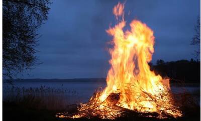 В Ленобласти за год произошло 423 лесных пожара