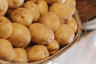 Названы правила хранения картофеля в доме или квартире