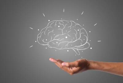 Ученые обнаружили способность мозга запоминать определенную информацию
