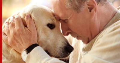 Следуют по пятам: 7 пород собак, которые жить не могут без хозяина