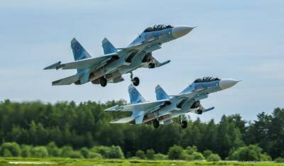 Российские и белорусские истребители выполнили полет вдоль границ Белоруссии