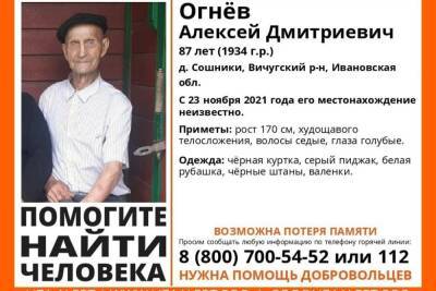 В Ивановской области в лесу потерялся мужчина с возможной потерей памяти