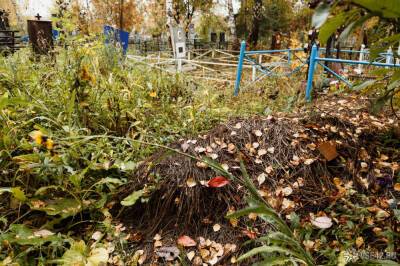 Двое украинцев заживо похоронили человека из-за долгов