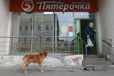 ФАС обязала «Пятёрочку» и «Магнит» снизить цены в Курской области