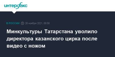 Минкультуры Татарстана уволило директора казанского цирка после видео с ножом