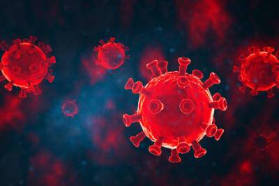 В Ленобласти 402 человека заболели коронавирусом за последние сутки