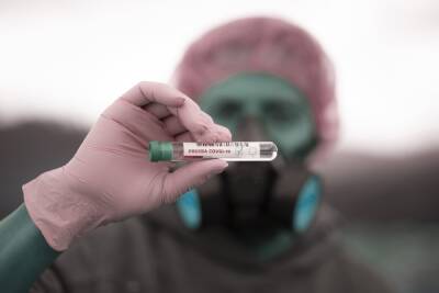 В ЛНР за минувшие сутки заболело коронавирусом 72 человека