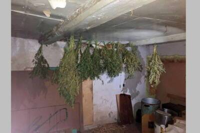 На Брянщине полицейские нашли около 2 кг конопли в частном доме