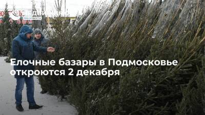 Елочные базары в Подмосковье откроются 2 декабря