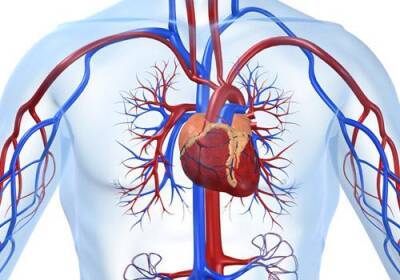 Специалист Минздрава Ильгар Тахироглу: COVID-19 способен усугубить существующее сердечно-сосудистое заболевание