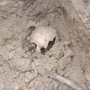 В Тернопольской области выявили древнее захоронение людей. Фото