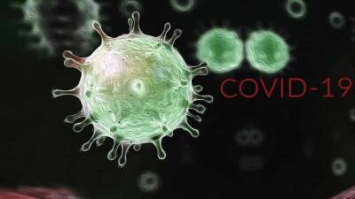 В Южной Африке обнаружен новый штамм коронавируса