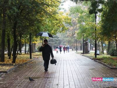 Аномальное тепло до +16 °С накроет Ростовскую область с 29 ноября 2021 года