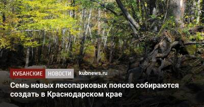 Семь новых лесопарковых поясов собираются создать в Краснодарском крае