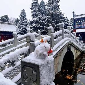 В Китае начались мощные снегопады. Фото. Видео