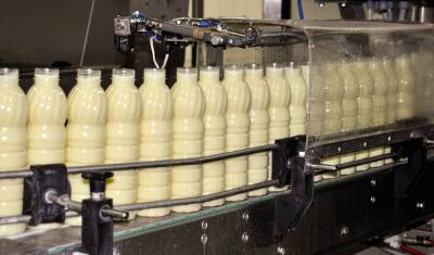 В Башкирии молочный комбинат изготавливал продукцию из просроченного сырья