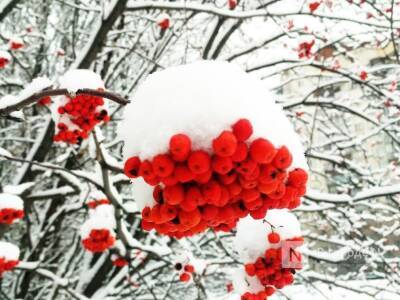 Небольшой снег и +3°С ожидаются в Нижегородской области в последние выходные осени