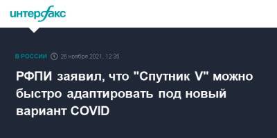 Кирилл Дмитриев - РФПИ заявил, что "Спутник V" можно быстро адаптировать под новый вариант COVID - interfax.ru - Москва - Россия - Юар